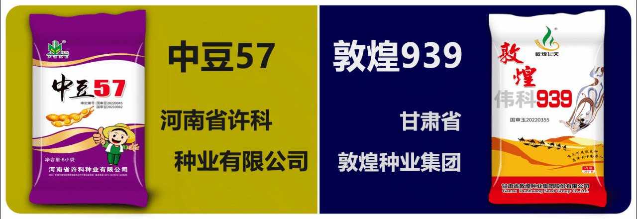 许科敦煌鸿翔银汇嘉禾 (1).gif